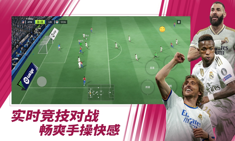 绿茵王朝
